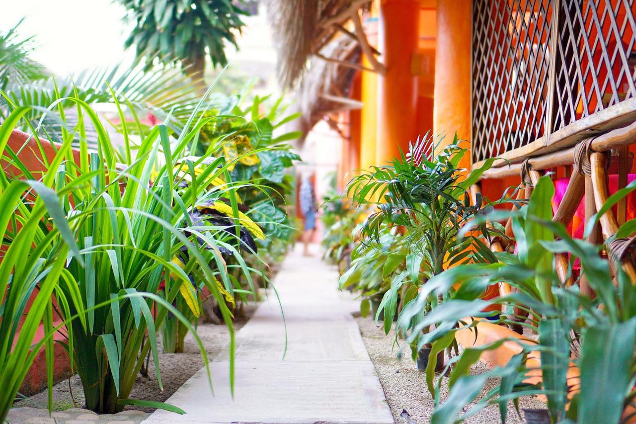 Aurinko Bungalows Sayulita Bagian luar foto